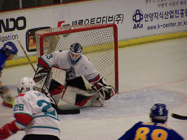 File:Chinasharksgoalie.jpg