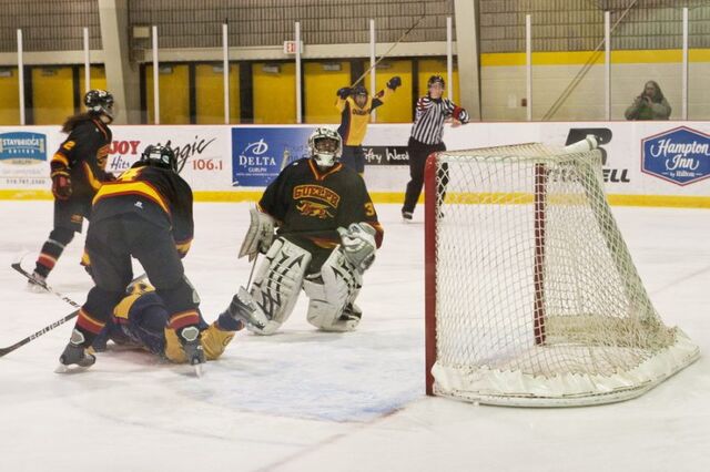 File:Gryphons 2011Playoffs.jpg