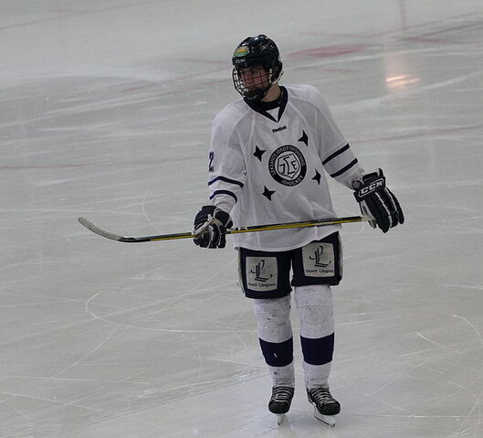 File:Filip Forsberg 2010.jpg