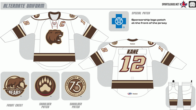 File:520 hershey-bears-alternate-2012.gif