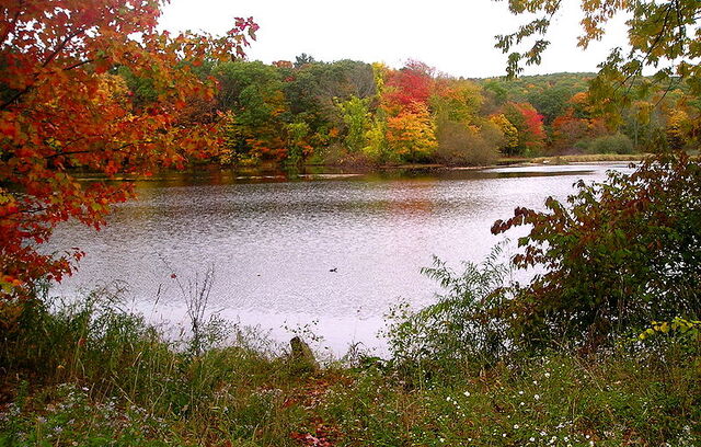 File:Hamden, Connecticut.jpg