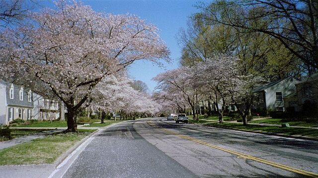 File:Crofton, Maryland.jpg
