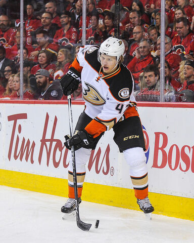 File:Lindholm Ducks 2017.jpg