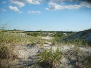 Cape Cod, Massachusetts