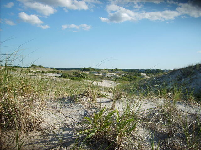 File:Cape Cod, Massachusetts.jpg