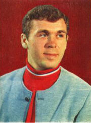 Vladimirvikulov