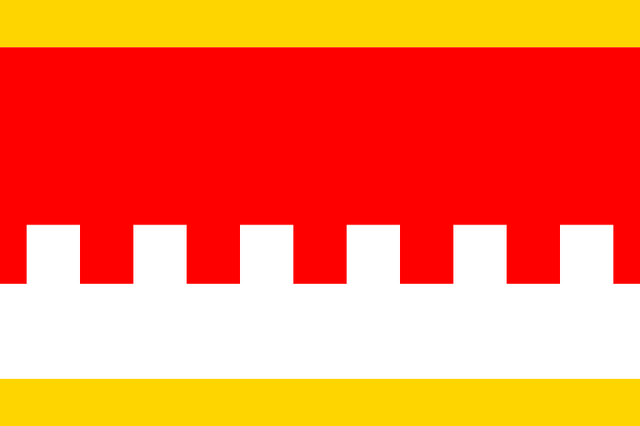 File:Litvinov Flag.png