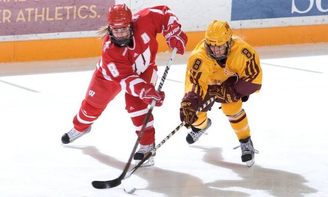 File:Kessel Gophers.jpg