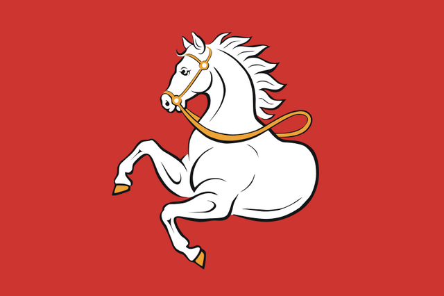 File:Pardubice Flag.png