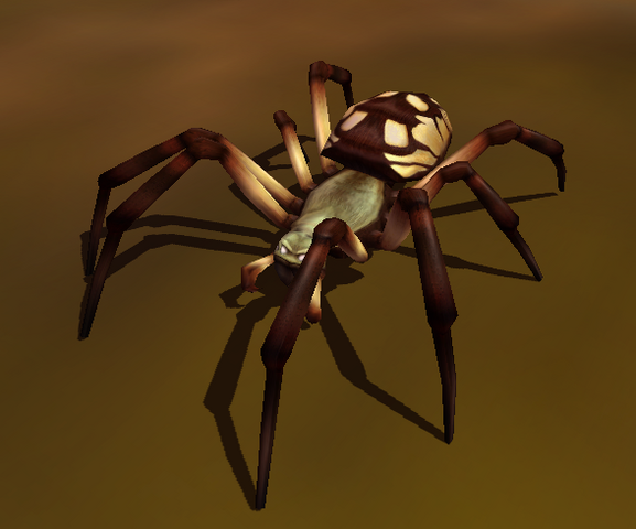 File:GardenSpider.png