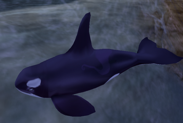 File:KillerWhale.png
