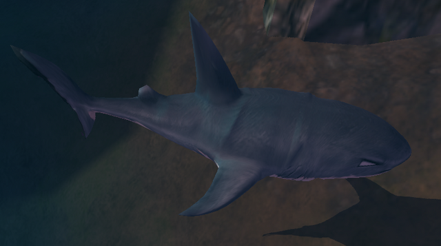 File:GreatWhiteShark.png