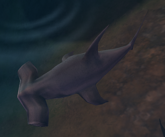 File:HammerheadShark.png