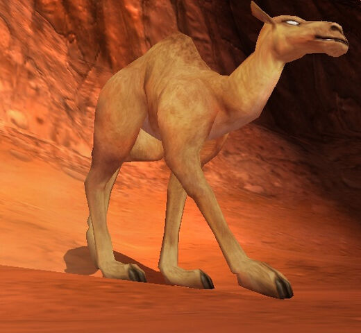 File:Camel.jpg