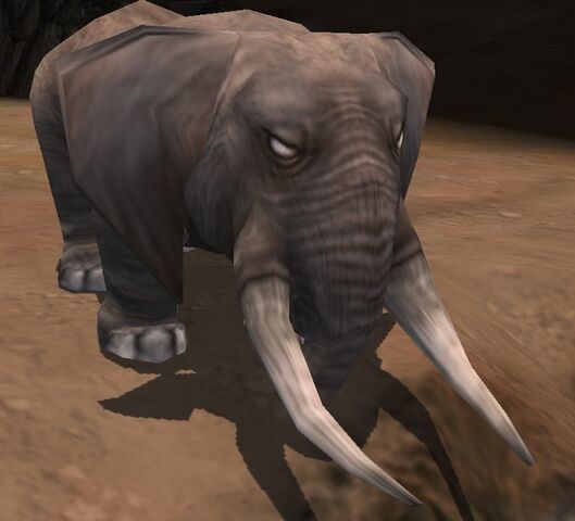 File:Elephant.jpg
