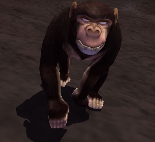 File:Chimpanzee.jpg