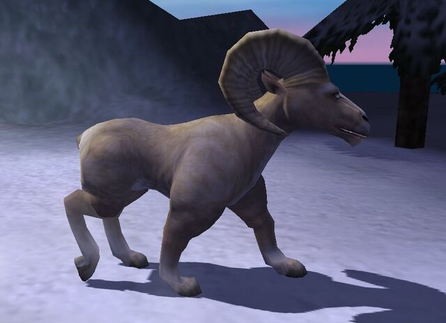 File:Ram.jpg