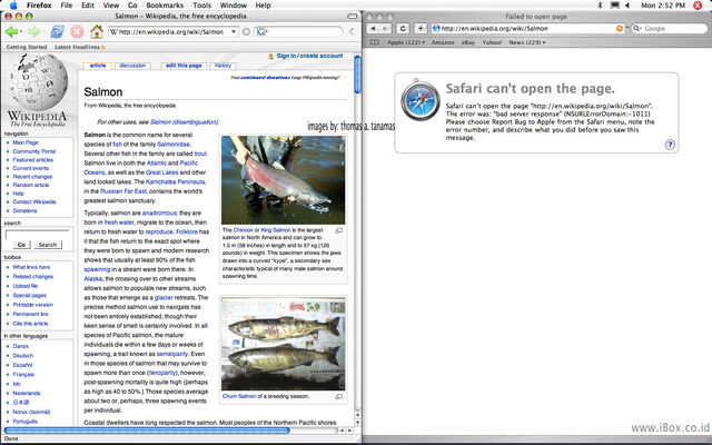 Berkas:Error Safari 1.jpg