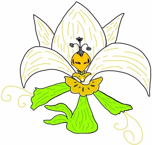 Archivo:Lisseliare.jpg