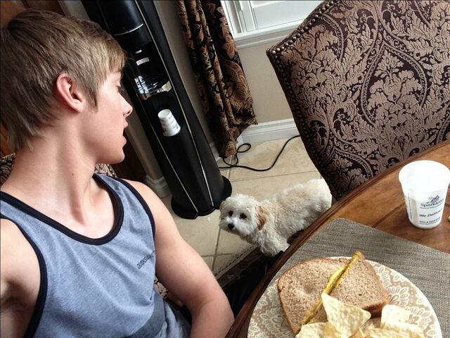 File:Austin and Teeny.jpg
