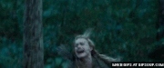 Clove-and-glimmer-o.gif
