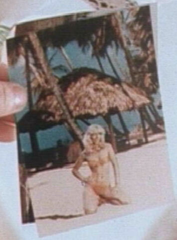 Datei:Texas 2.jpg