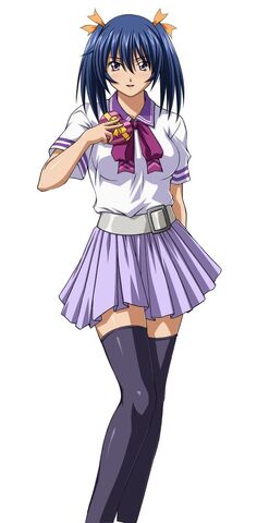File:Ikkitousen.full.1033275.jpg