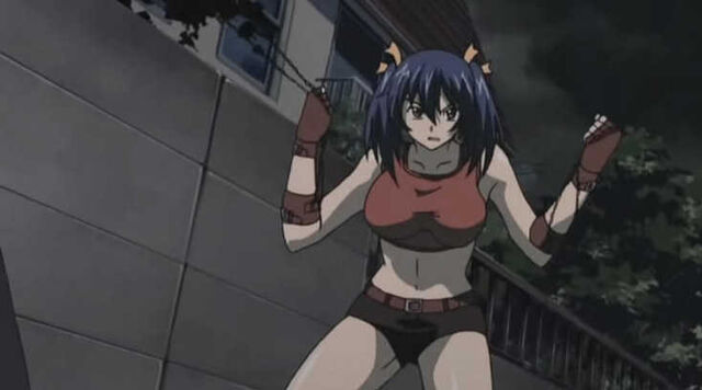 File:Ikkitousen DragonDestiny03 08.jpg