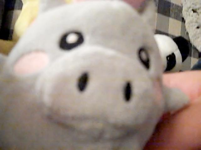 File:VID02393.jpg