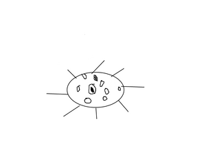 Bacterios bacias