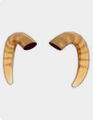 Thumbnail for version as of 02:09, January 28, 2012