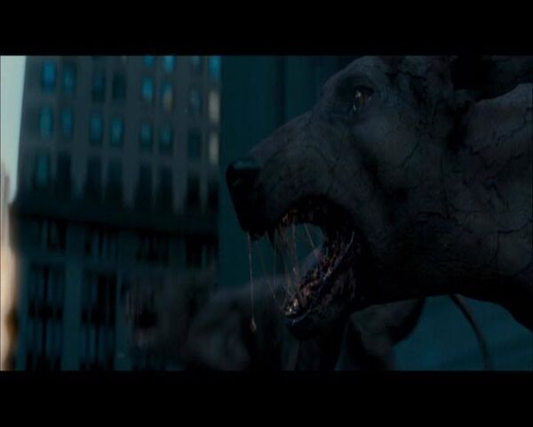 File:Darkseeker dogs.jpg