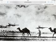 Nomadsinlibyawar