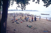 Sao tome fish