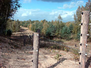 Doeberitzer heide
