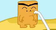 TylerBendyStraw