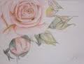 Mika's drawing