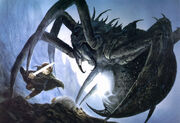 Shelob5