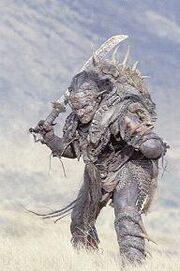 Wargruiter.jpg