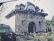 IMG 0339