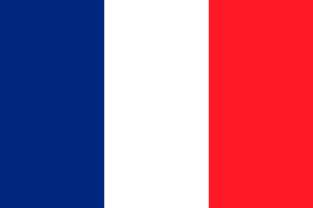 Файл:FrenchFlag.png