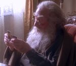 Tolstoy Indy Baseball Card Colletion