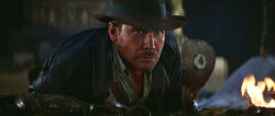 Indy cobra.jpg