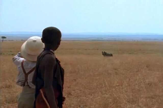 File:RhinoSpotted.jpg