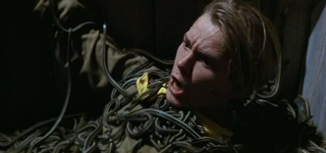 File:Snakes.jpg