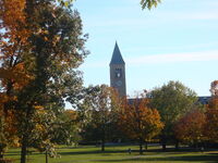 Cornell