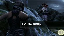 Ronin-san