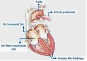 Figura4Cardio