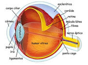 Glaucoma1