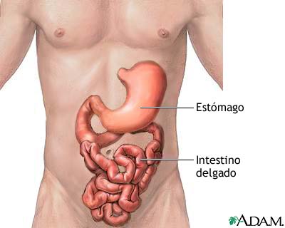Arquivo:Figura 6.jpg